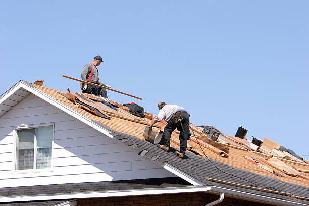 Best Sheet Metal Roofing  in Ramona, CA